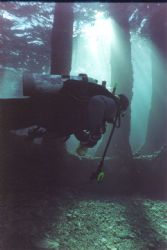 Wreck of the Sipona, Bahamas by Ian Brooks 